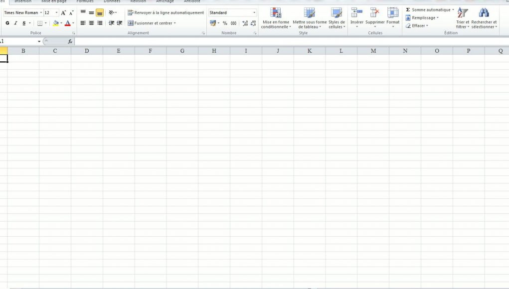 vérifier les erreurs de saisie sur Excel