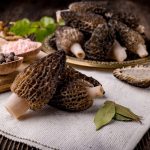 sauce aux morilles