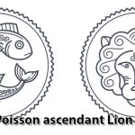 poisson-ascendant-lion