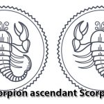 scorpion-ascendant-scorpion