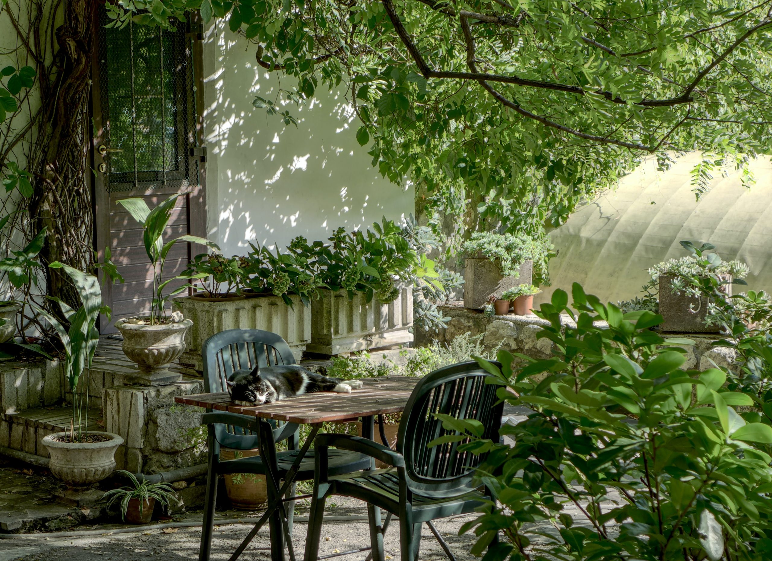 embellir son jardin