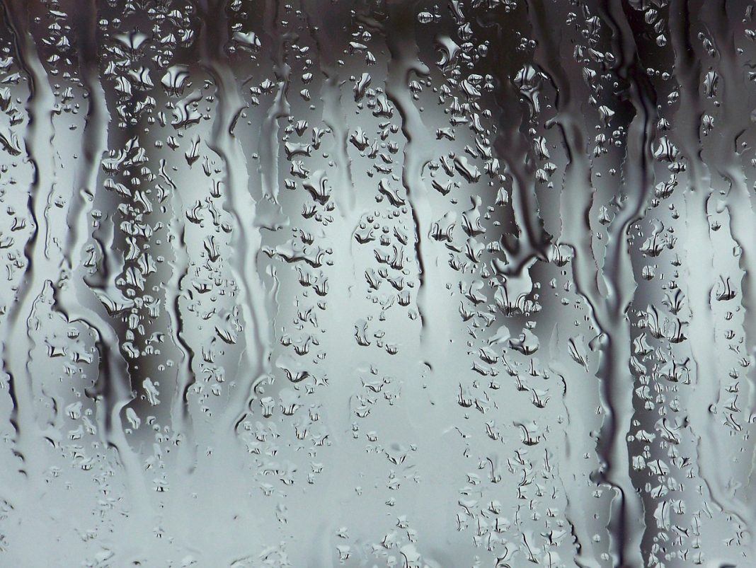 Comment nettoyer une paroi de douche ? Pratique.ch