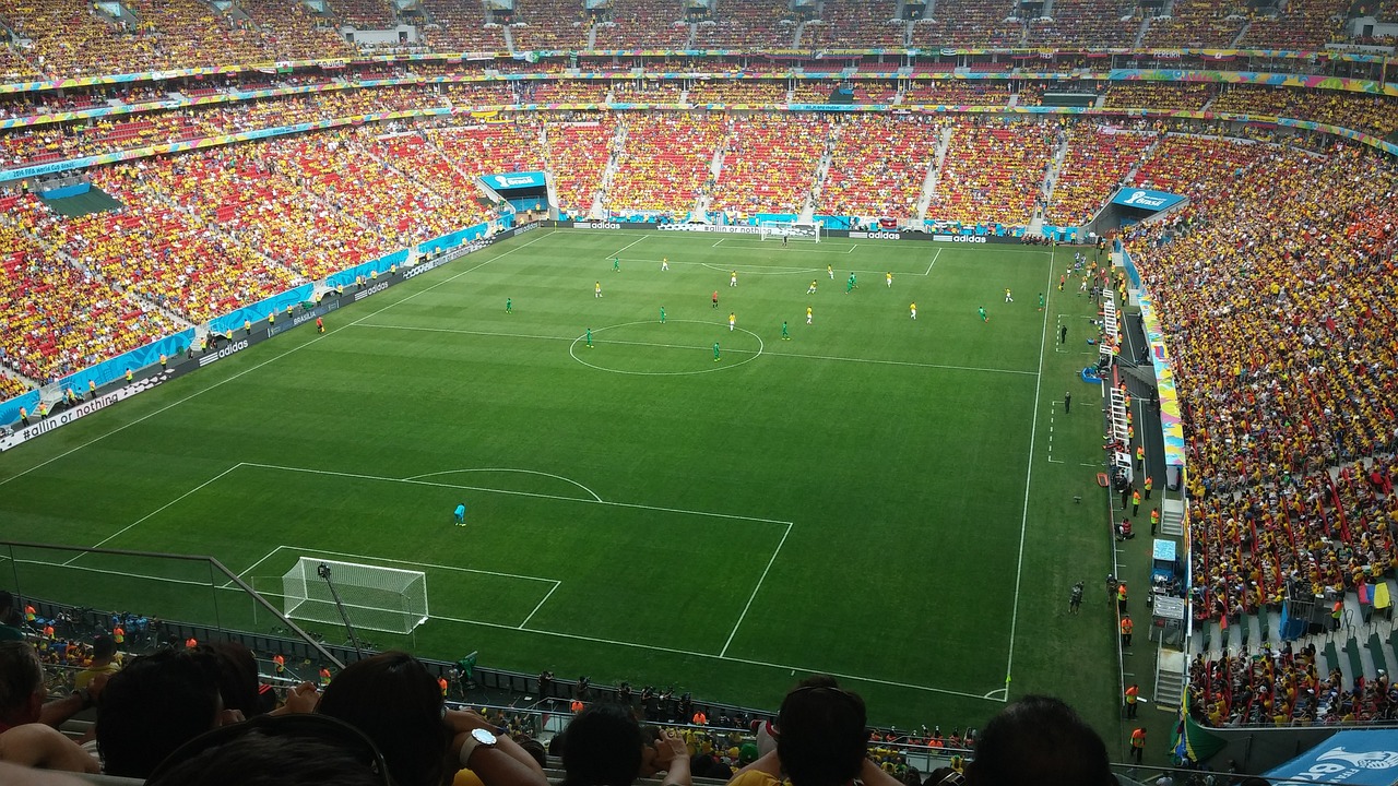 pronostics coupe du monde de football