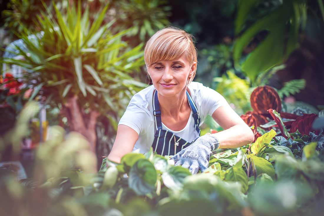 désherber votre jardin avec du vinaigre blanc