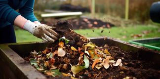 faire un compost naturel chez soi
