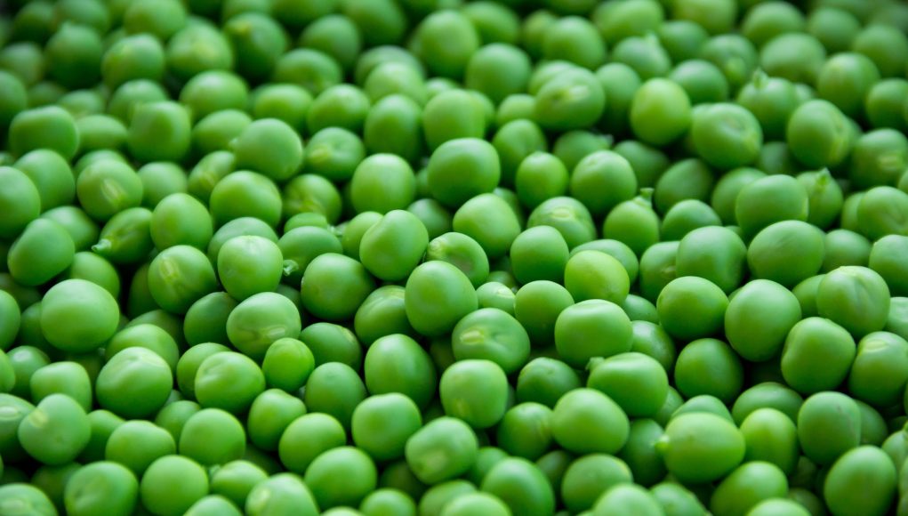 Comment congeler des petits pois ? Pratique.ch