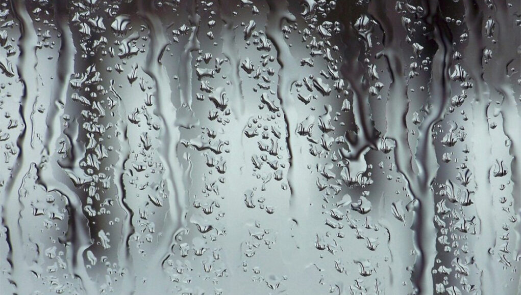 Paroi de douche astuces de nettoyage