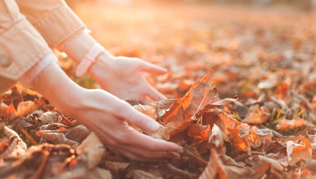 tâches essentielles à faire en octobre pour préparer votre jardin avant l'hiver