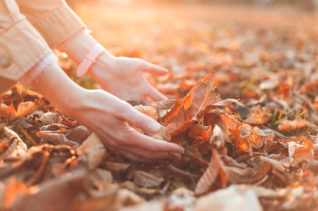 tâches essentielles à faire en octobre pour préparer votre jardin avant l'hiver