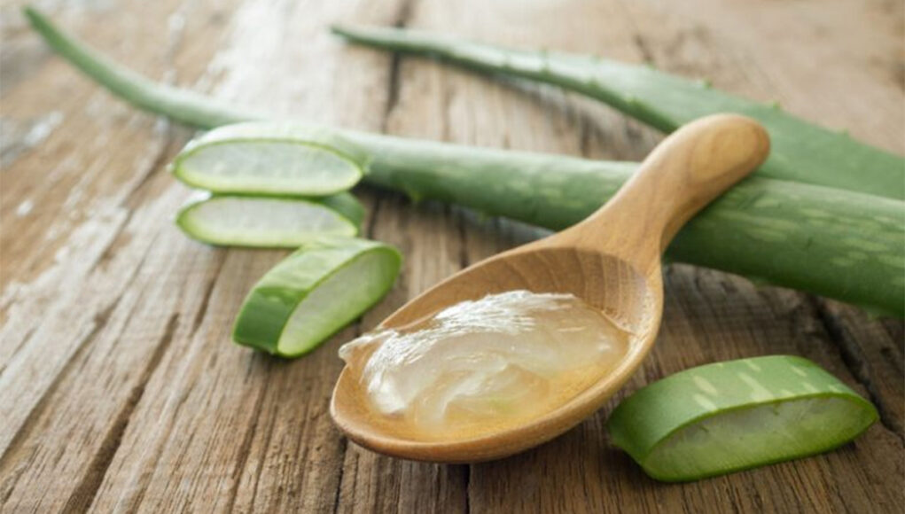 Bienfaits de l’aloe vera pour la beauté