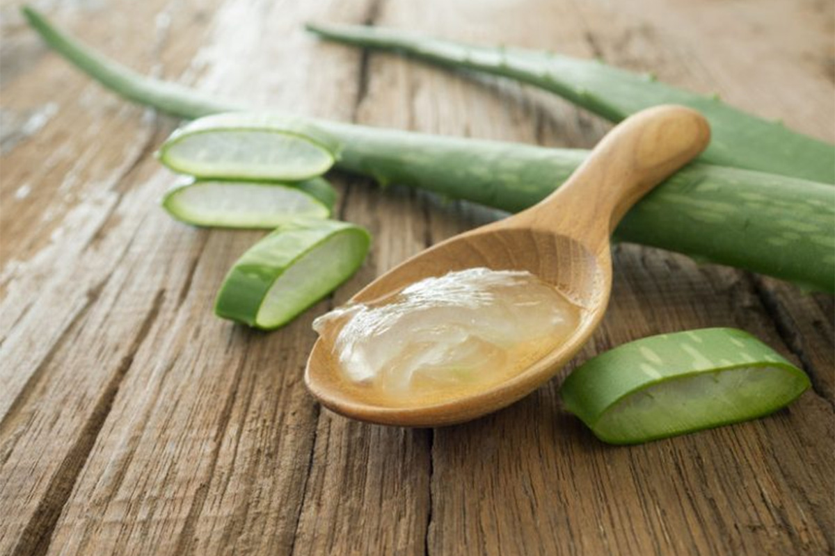 Bienfaits de l’aloe vera pour la beauté