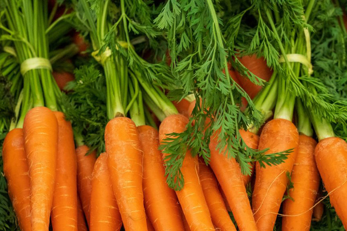 Comment congeler des carottes