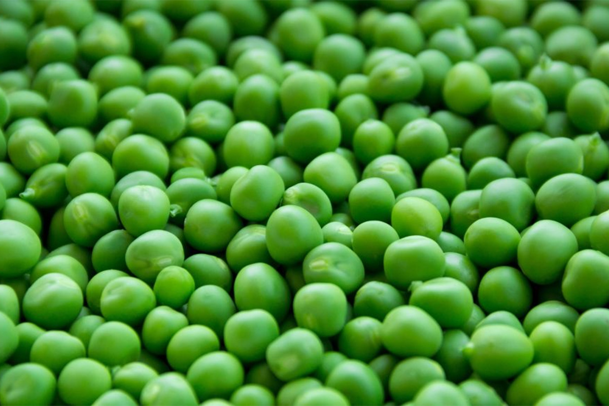 comment congeler des petits pois