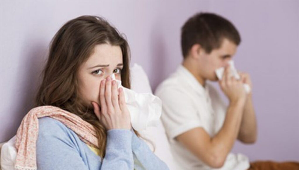 aliments naturels pour soigner la grippe