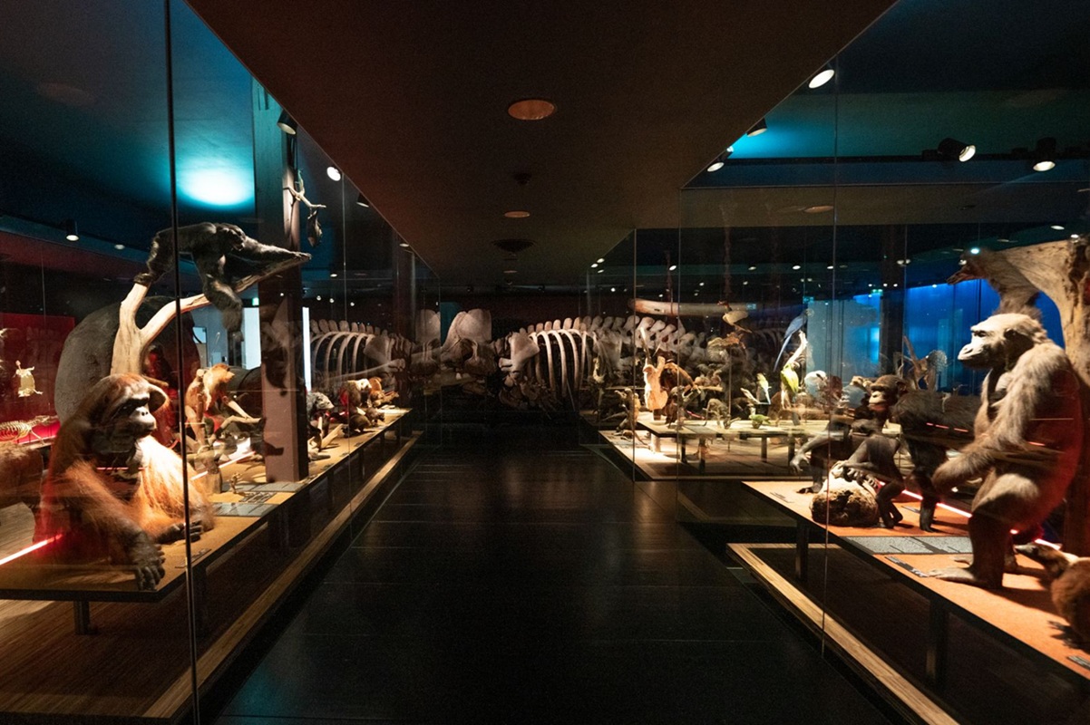 Muséum d’histoire naturelle de Fribourg