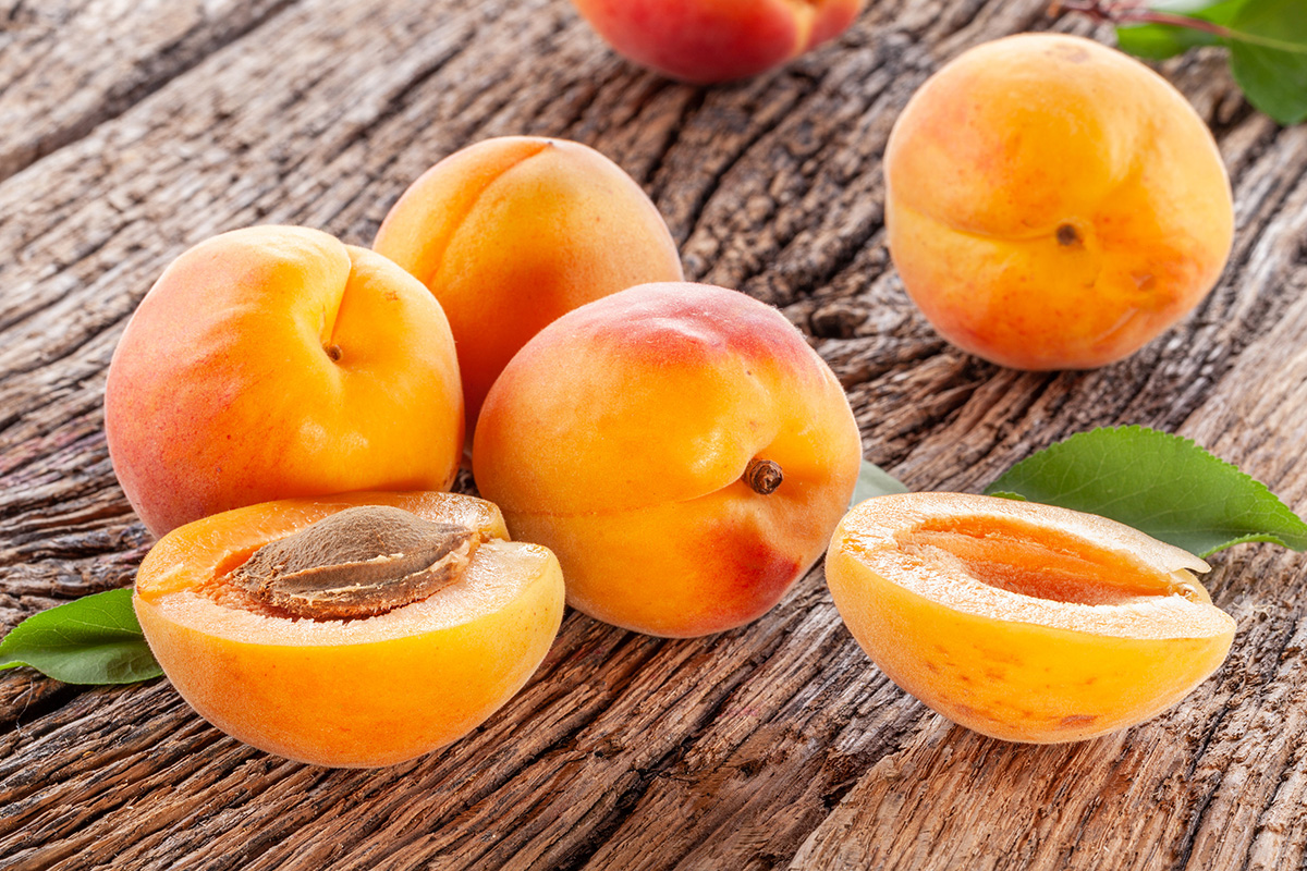 congélation des abricots