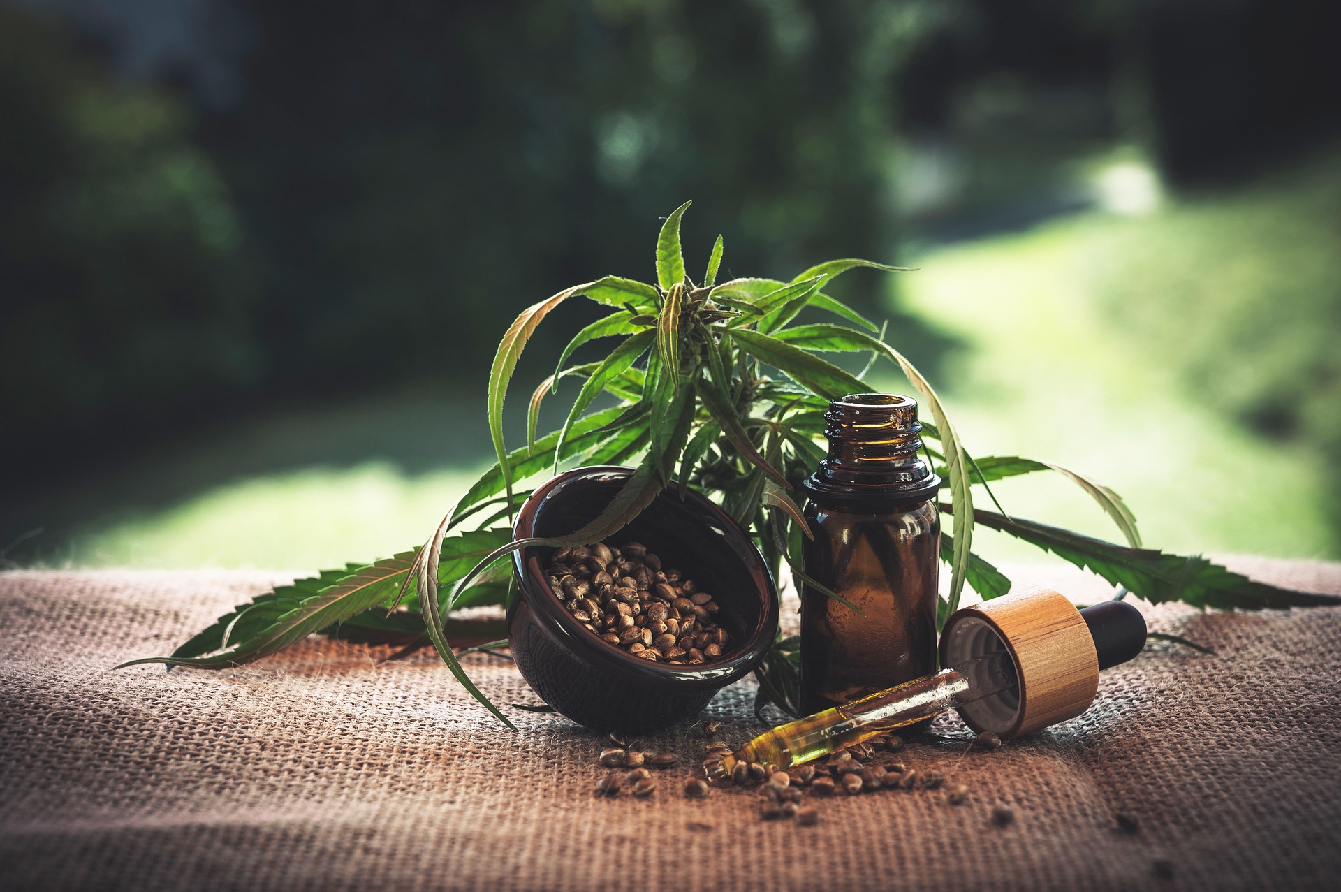 CBD en Suisse