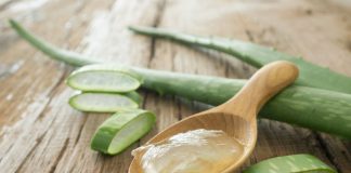 bienfaits de l’aloe vera pour la beauté