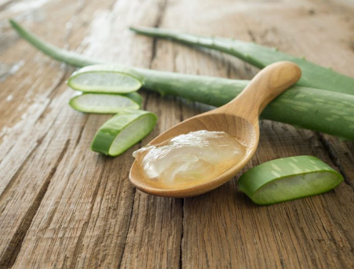 bienfaits-de-aloe-vera-pour-la-beaute bienfaits de l’aloe vera pour la beauté