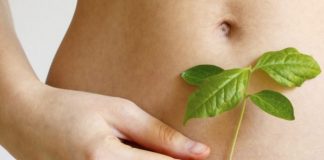 perdre du poids avec des plantes