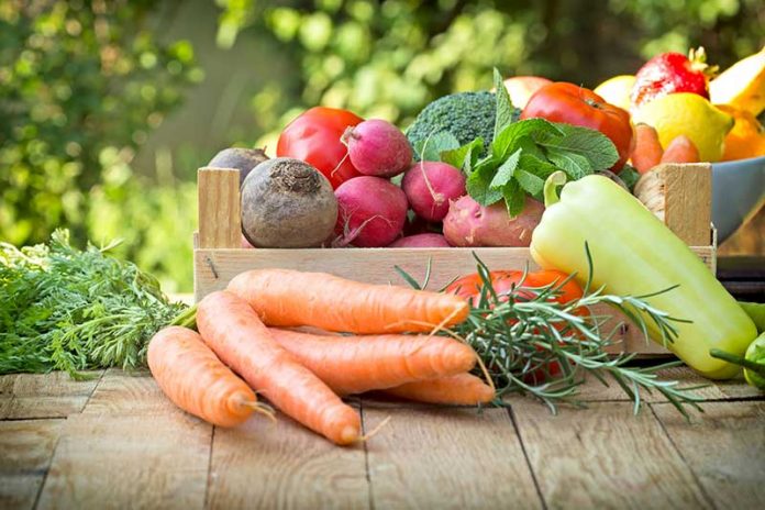 recettes-vegetariennes recettes végétariennes