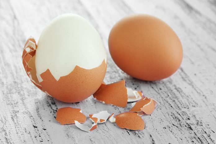 oeuf-a-la-coque œuf à la coque