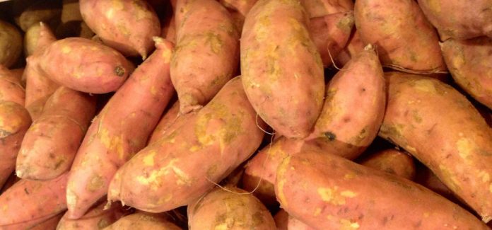 patate-douce-recette patate douce