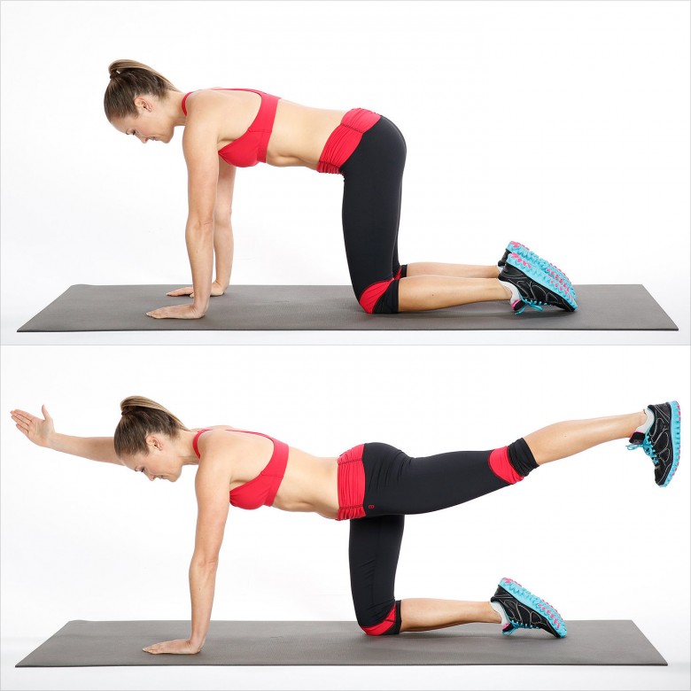 muscles abdominaux