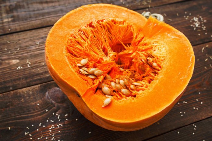 recettes-a-base-de-courge recettes à base de courge