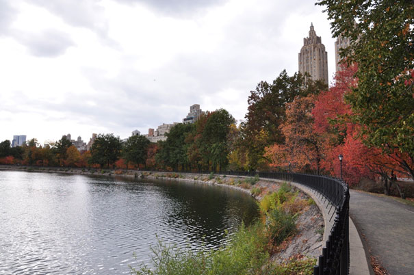Central Park à New-York