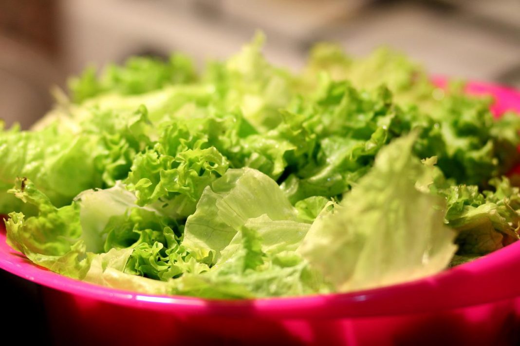 laver la salade en sachet