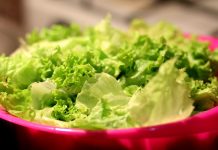 laver la salade en sachet