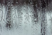 nettoyer une paroi de douche