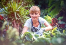 désherber votre jardin avec du vinaigre blanc
